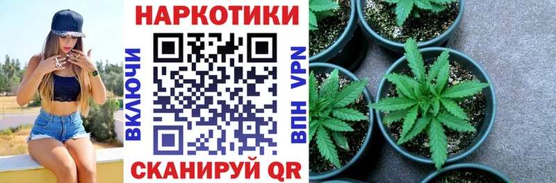 Где купить Пустошка Канабис ОМГ ОМГ зеркало КОКАИН Гашиш Меф APVP Галлюциногенные грибы