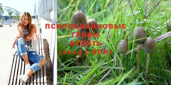 не бодяженный Алзамай