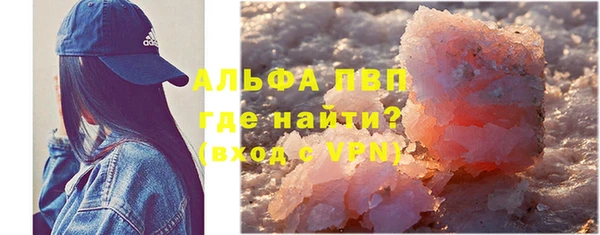 стаф Алексин